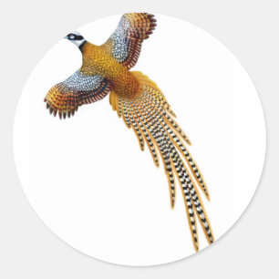 Adesivo Redondo Flying Reeves Pheasant Sticker
