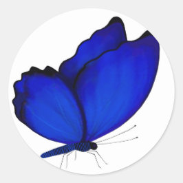Adesivo Redondo Focas de Envelope Blue Butterfly