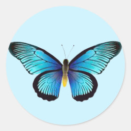 Adesivo Redondo Focas de Envelope Blue Butterfly