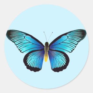 Adesivo Redondo Focas de Envelope Blue Butterfly