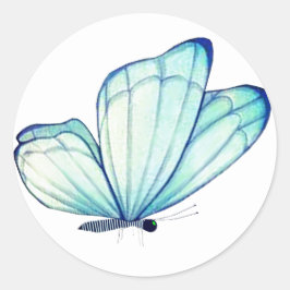 Adesivo Redondo Focas de envelope com borboletas Bluegreen