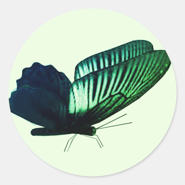 Adesivo Redondo Focas de Envelope de Borboleta Verde (Frente)