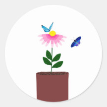 Focas de Envelope margaridas e borboletas