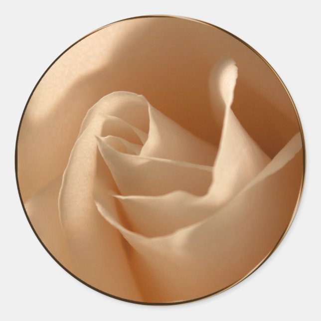 Adesivo Redondo Foco de Envelope de Rosa de Creme Rustic (Frente)
