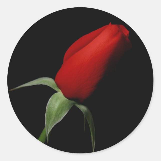 Adesivo Redondo Focos de Envelope de Convite RSVP de Casamento de  (Frente)