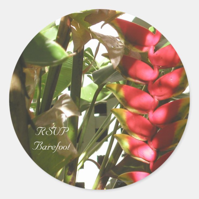 Adesivo Redondo Focos de Envelope Personalizados do Flores para ca (Frente)
