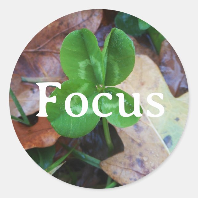 Adesivo Redondo Focus Porte-bonheur (Frente)