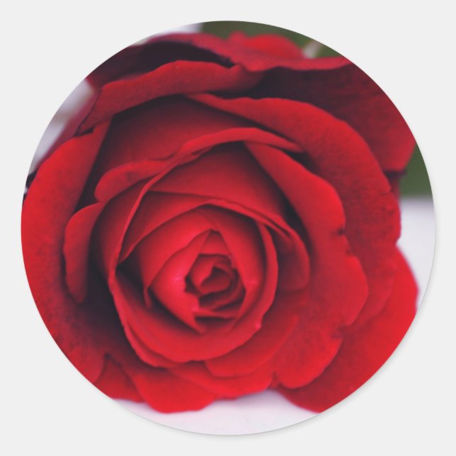 Adesivo Redondo Fogo Velvet (Frente)