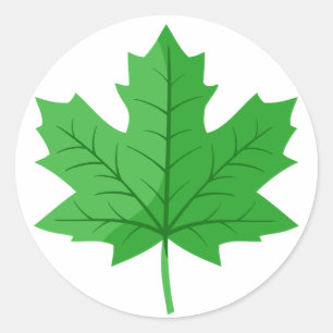 Adesivo Redondo Folha de Caracteres Verde