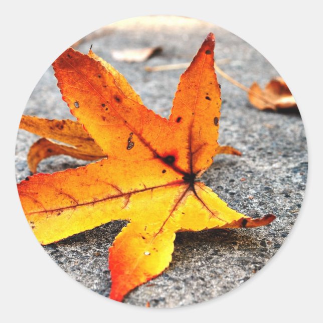 Adesivo Redondo Folha de Fogo (Frente)