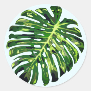Adesivo Redondo Folha de Monstera Tropical - Exótica -