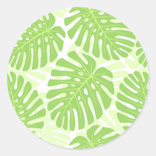 Adesivo Redondo Folhas da planta tropical - teste padrão de