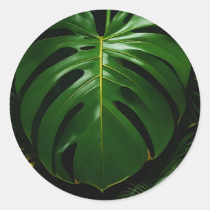 Adesivo Redondo Folhas de Monstera Dourado Glamour da Selva