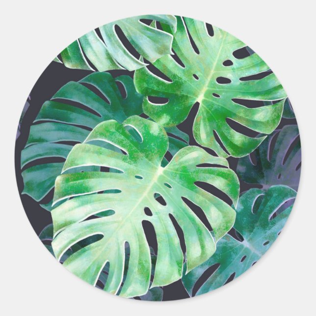 Adesivo Redondo Folhas de Monstera Tropicais (Frente)