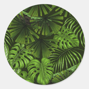 Adesivo Redondo Folhas de selva