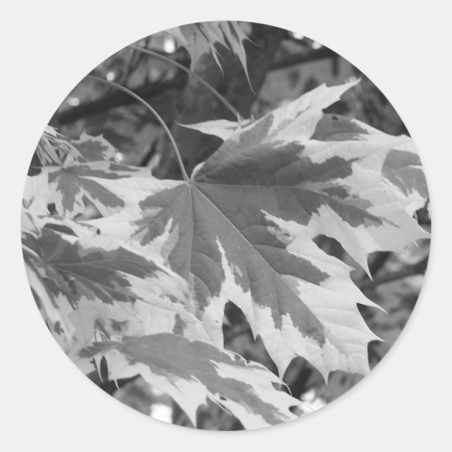 Adesivo Redondo Folhas em preto e branco (Frente)