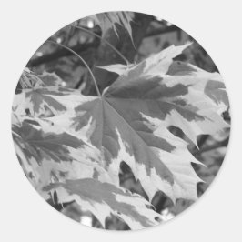 Adesivo Redondo Folhas em preto e branco