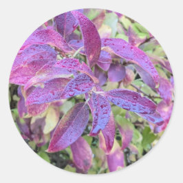 Adesivo Redondo Folhas roxas em autocolantes