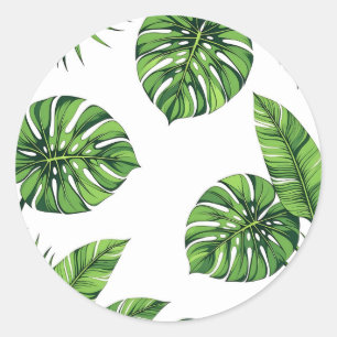 Adesivo Redondo Folhas Tropicais de Monstera Padrão Sem Costura Ve