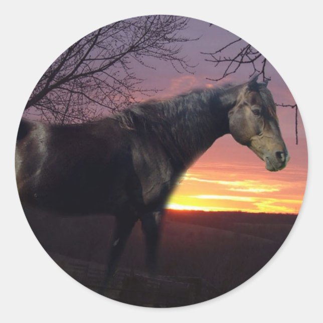 Adesivo Redondo ForeverMorgãos Cavalo Negro em Roxo (Frente)