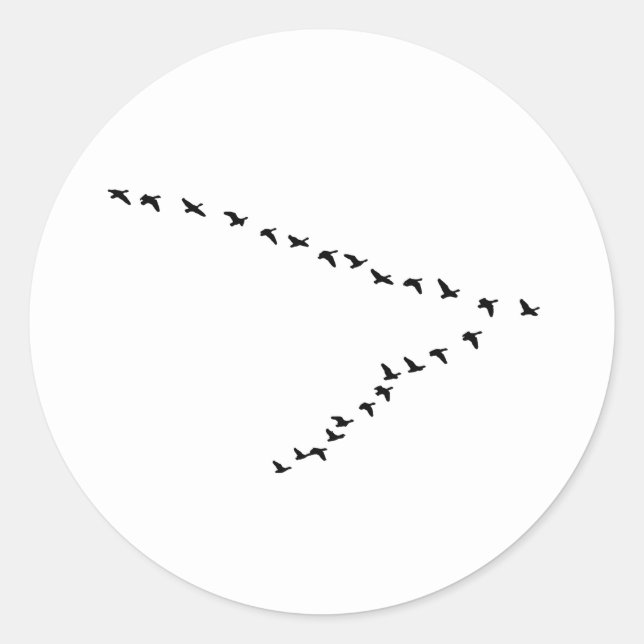 Adesivo Redondo Formação dos gansos "V" do vôo (Frente)