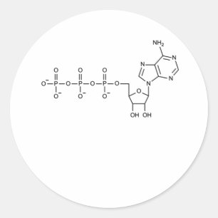 Adesivo Redondo Fórmula ATP para Professor de Biologia e Ciência
