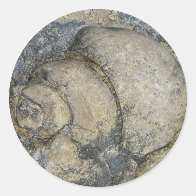 Adesivo Redondo Fóssil (Frente)