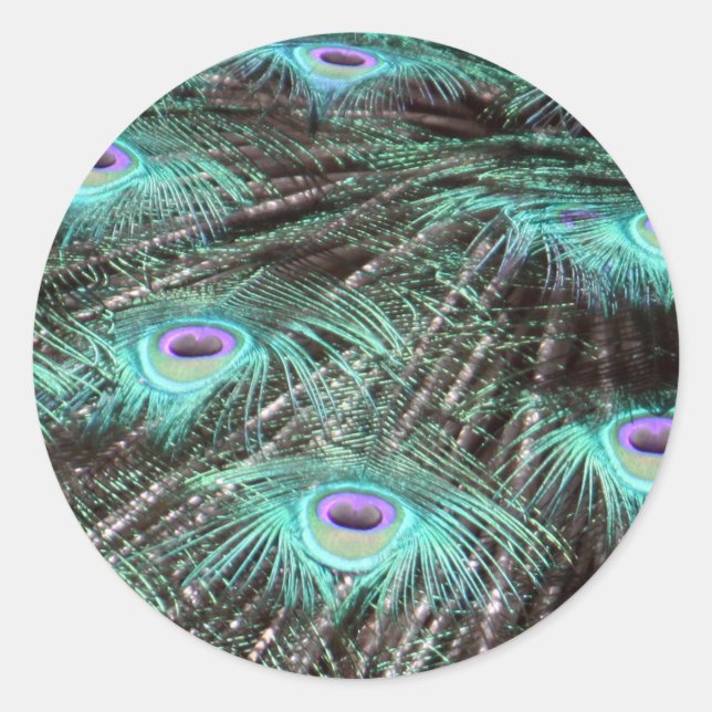 Adesivo Redondo Foto bonito de Penas de Peacock (Frente)
