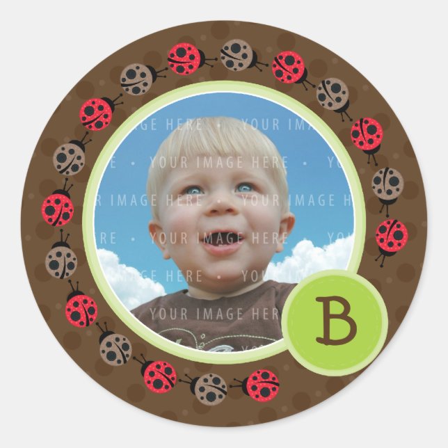 Adesivo Redondo FOTO: Círculo de aves de capoeira 3 (Frente)