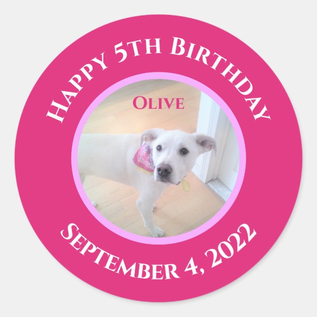 Adesivo Redondo Foto de adorável cachorrinho usando cachecol rosa  (Frente)