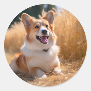 Adesivo Redondo Foto de animal de estimação personalizada