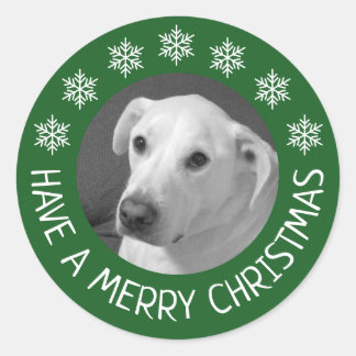 Adesivo Redondo Foto de Cachorro Branco Pacífico Feliz Natal Verde