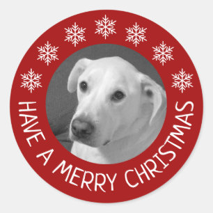 Adesivo Redondo Foto de Cachorro Branco Pacífico Feliz Natal Verme