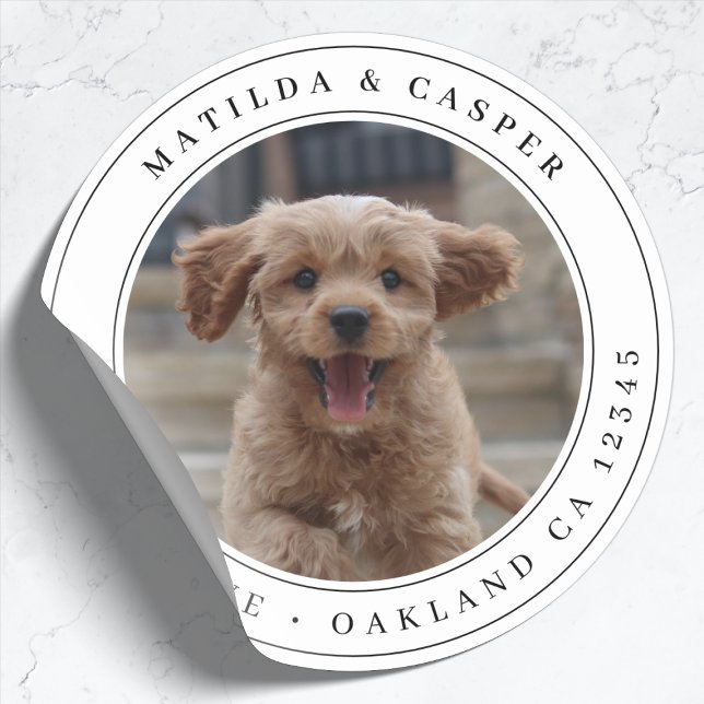 Adesivo Redondo Foto de Cachorro de Endereço de Devolução Sticker  (Criador carregado)