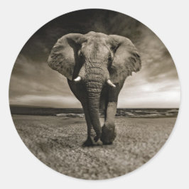 Adesivo Redondo Foto do Elefante Bull Wildlife