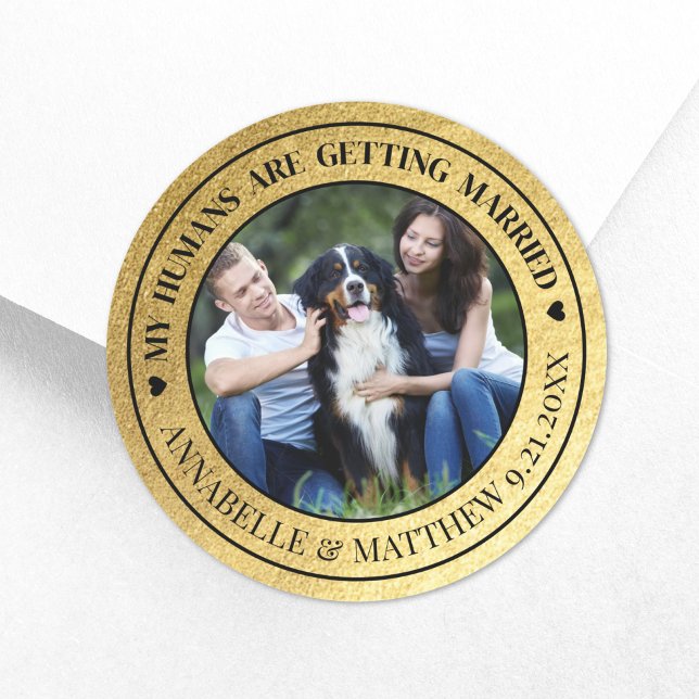 Adesivo Redondo Foto Dourada Pet Wedding Salvar Data (Dog Photo Pet Gold Wedding Save The Date Classic Round Sticker)