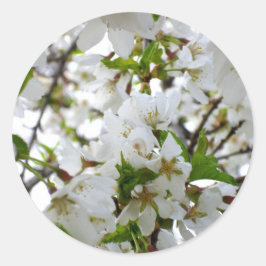 Adesivo Redondo Foto floral branca elegante