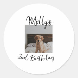 Adesivo Redondo Foto moderna de aniversário de um gato de cão