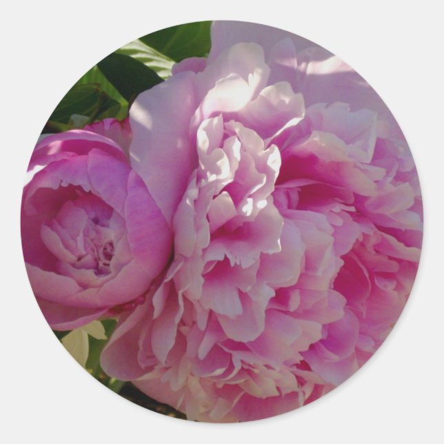 Adesivo Redondo Foto rosa de Peony caseiro caseiro caseiro floral (Frente)