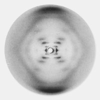 Fotografia 51 de Rosalind Franklin | Autocolante