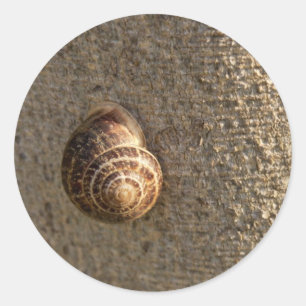 Adesivo Redondo Fotografia da Natureza de Caracol de Jardim