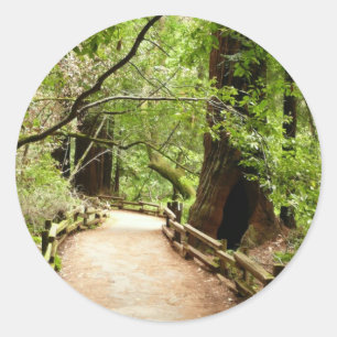 Adesivo Redondo Fotografia da Natureza do Caminho Muir Woods II