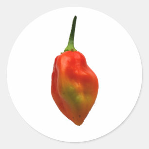 Adesivo Redondo Fotografia da pimenta de Habernero única