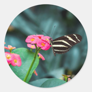 Adesivo Redondo Fotografia de Borboleta em Flor Rosa