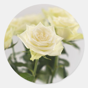 Adesivo Redondo Fotografia de Flores de Rosas Brancas Elegantes