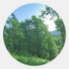 Adesivo Redondo Fotografia de Paisagem Verde
