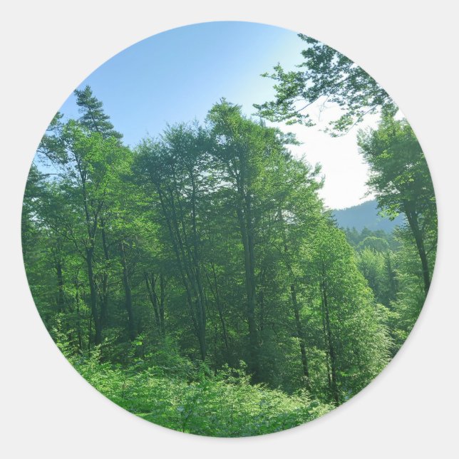 Adesivo Redondo Fotografia de Paisagem Verde (Frente)