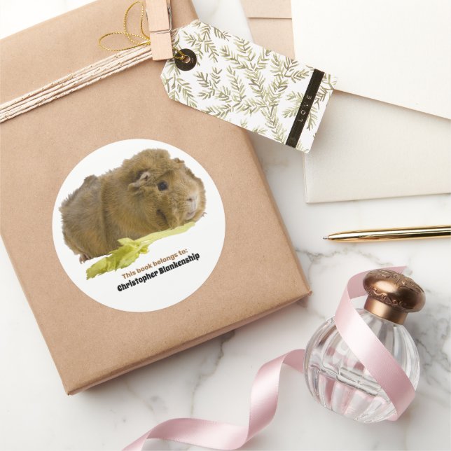 Adesivo Redondo Fotografia de Porquinho-da-Índia Adorável Comendo  (Presentear)