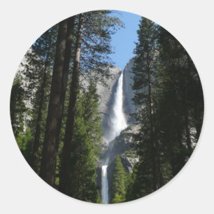 Adesivo Redondo Fotografia de Yosemite Falls and Woods