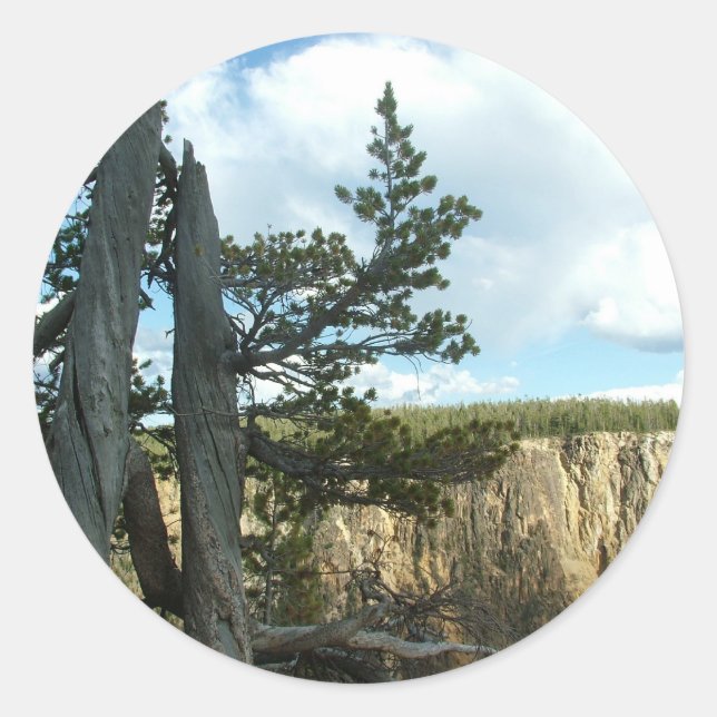 Adesivo Redondo Fotografia do Parque Nacional Yellowstone (Frente)